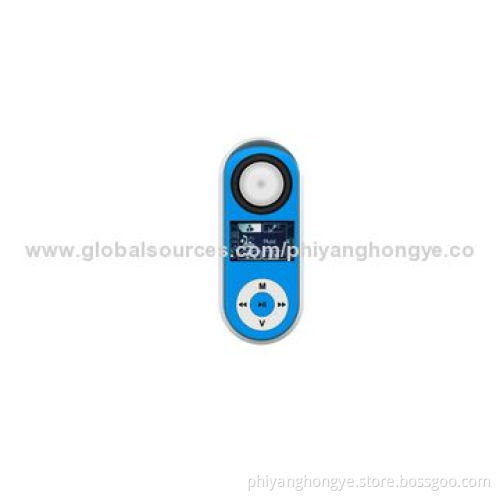 Flash MP3 players